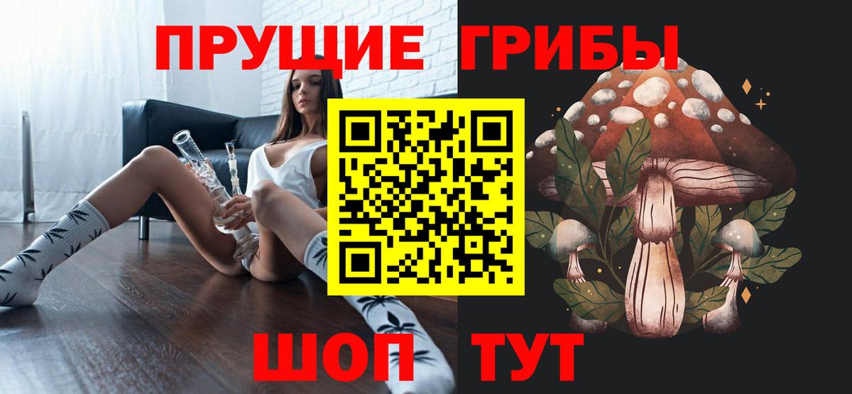где продают   Вход с VPN  Кудымкар  Псилоцибиновые грибы мухоморы 